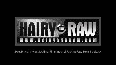 HAIRYANDRAW Bearded Brendan Patrick Raw Breeds Gay Alex Hawk - icpvid.com