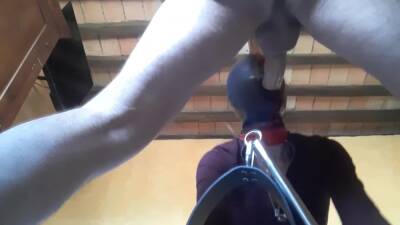 Tied To A Machine Masked And Hooded She Has To Suck A Big Dick - hclips.com