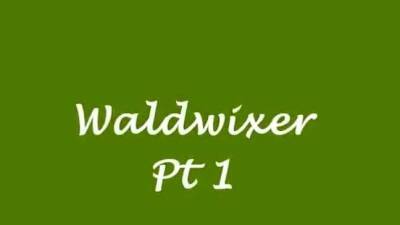 Waldwixer Pt 1 - icpvid.com