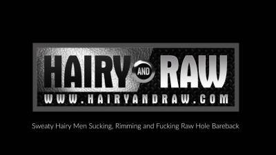 HAIRYANDRAW Inked Hairy Atlas Grant Raw Bred By Marc Giacomo - icpvid.com