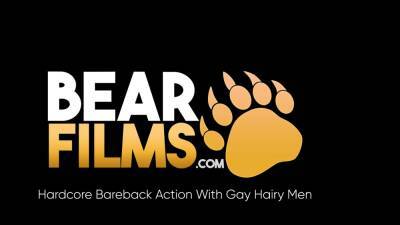 BEARFILMS Hairy Men Adam Ram And Ale Tedesco Bareback Hard - nvdvid.com